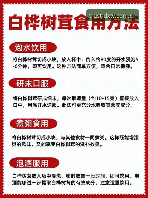 德信体育互动平台使用技巧深度评测：从新手到高手的全面指南